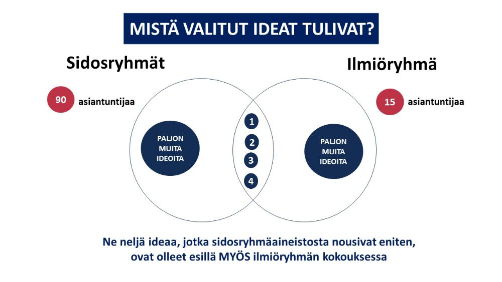 Mistä valitut ideat tulivat? Sidosryhmät 90 asiantuntijaa, ilmiöryhmät 15 asiantuntijaa. Nousi neljä ideaa, jotka olivat eniten esillä.