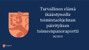 Toimeenpanoraportti.pdf