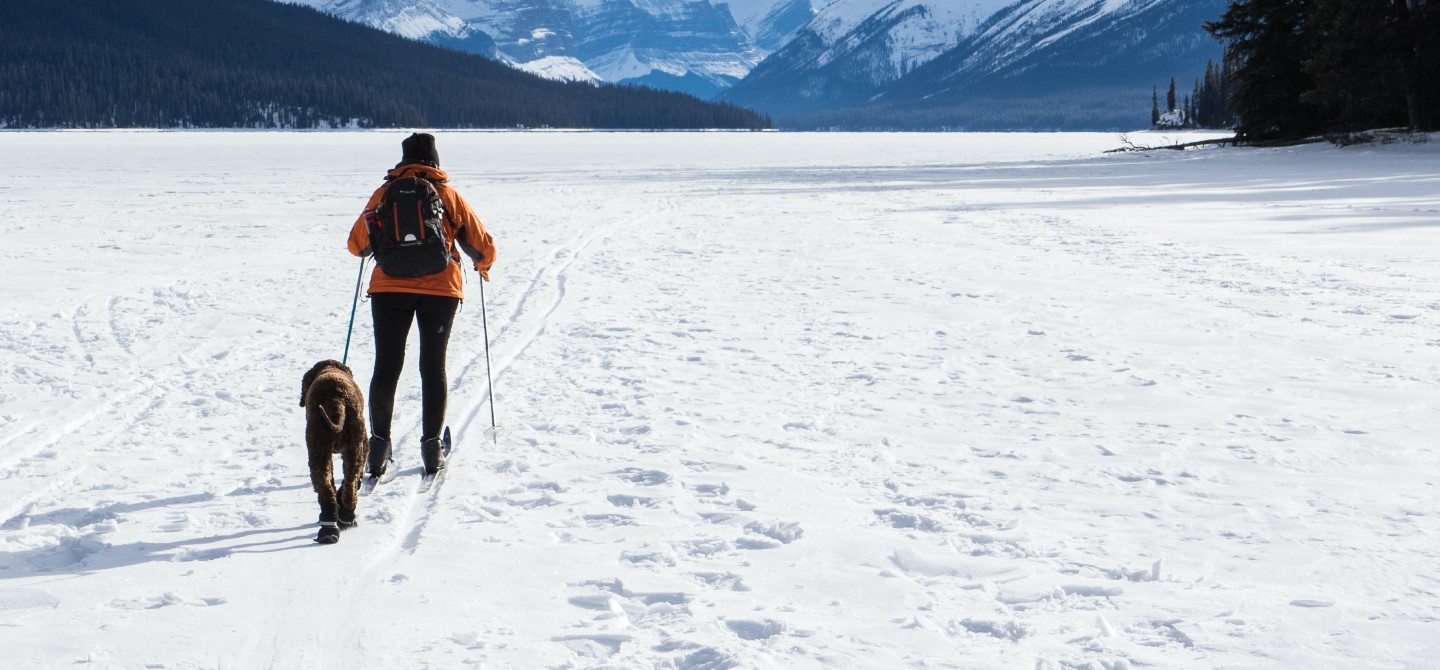 A person is cross-country skiing and a dog follows. White snow and mountain landscape surrounds them.